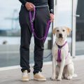 Lifestyle-Urban Classic Leash_11.jpg