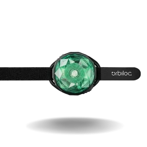 Dog Mini LED ( mint ) profesjonalne światełko dla małych psów | ORBILOC