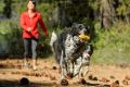 170524_RUFF_Slough-0941-PRINT.jpg