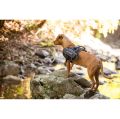 Saddle_Bags_Tilly_Rock_Pools2.jpg