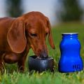 00490_H2O4K9_Blue.jpg