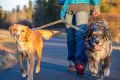 RH_FW14_Sunriver_32114-076_WEB.jpg