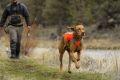 Product-Page-Header-Track-Jacket_882x589.jpg