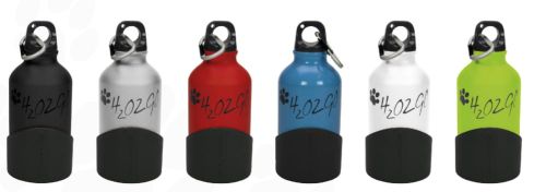 h2o2go_350ml.jpg